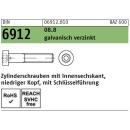 DIN 6912 Zylinderschrauben - verzinkt 8.8 - ISK - niedriger Kopf
