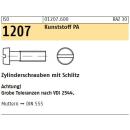 ISO 1207 Kunstst. Polyamid