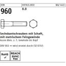 Sechskantschrauben DIN 960 - Sechskantkopf - Teilgewinde - Feingewinde - Stahl 8.8