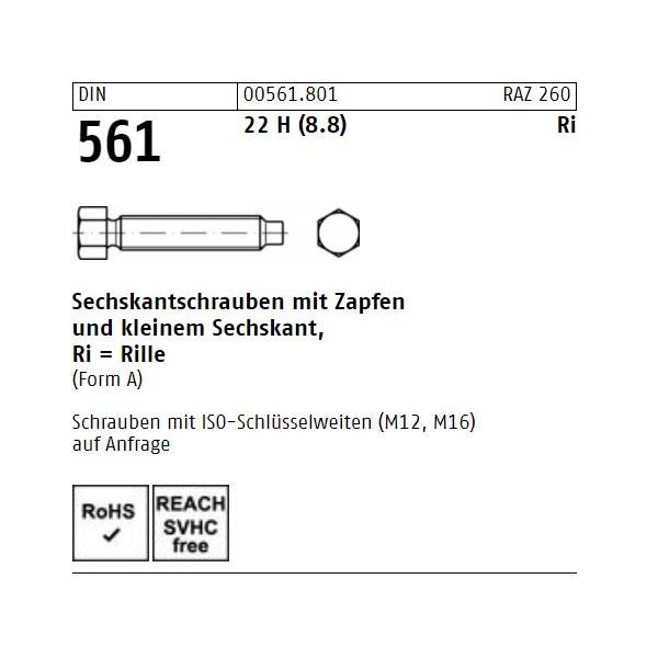 DIN 561 Sechskantschrauben - Stahl 8.8 - Form A