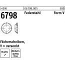 DIN 6798 Form V - F?cherscheibe FST  /  5,3mm // 250...